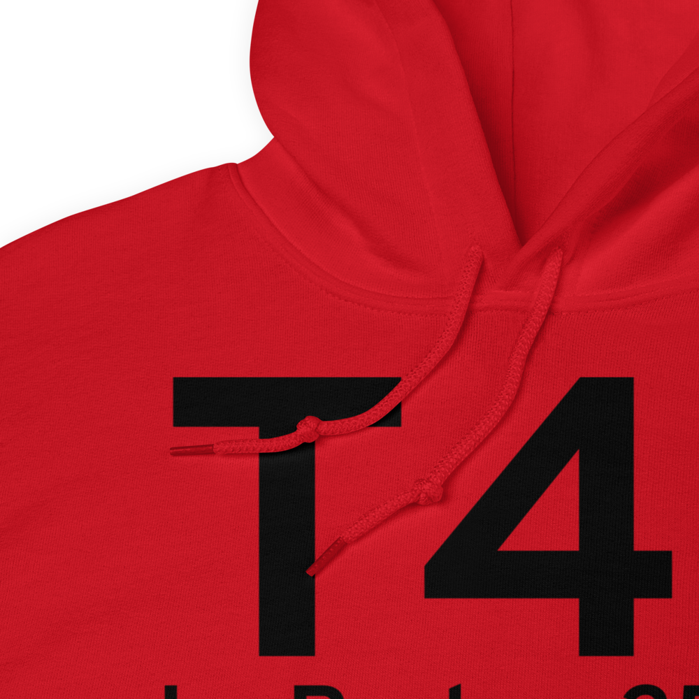 La Porte (KT41) Airport Hoodie Sweatshirt 
