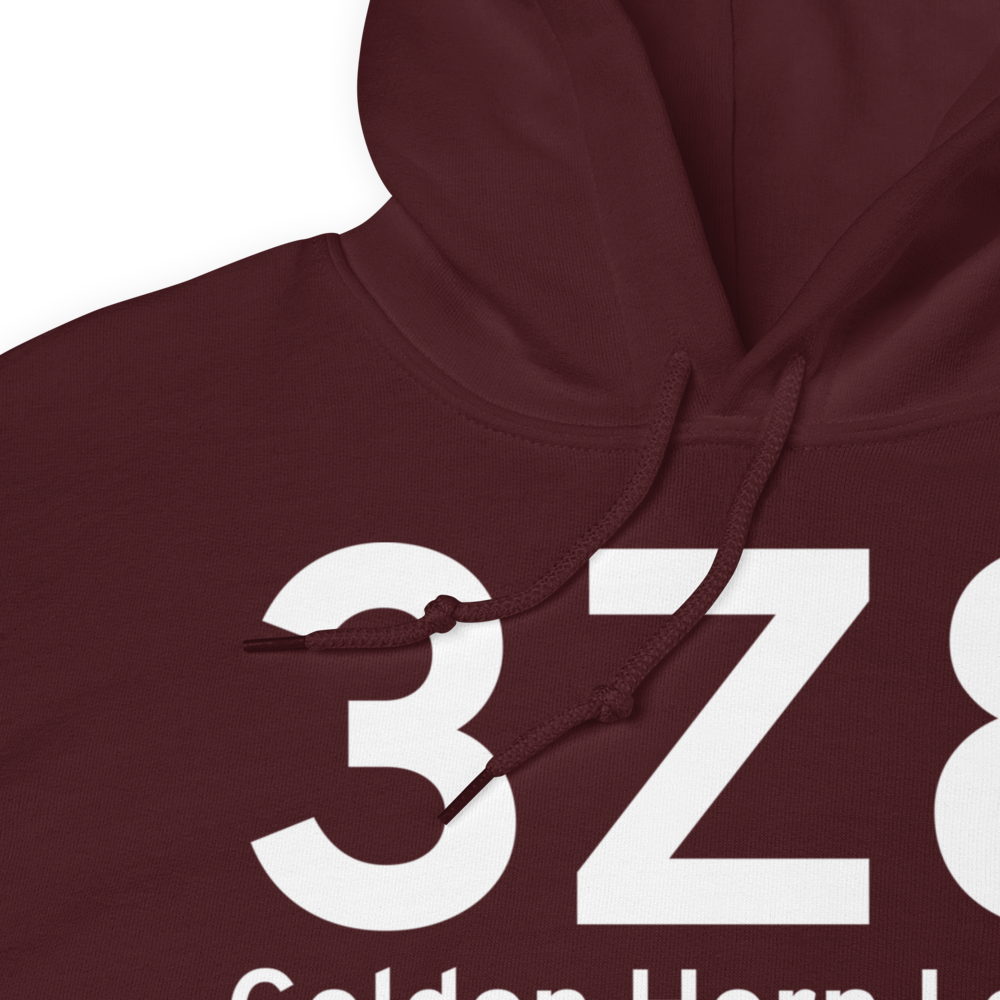 Golden Horn Lodge (3Z8) Airport Hoodie Sweatshirt 