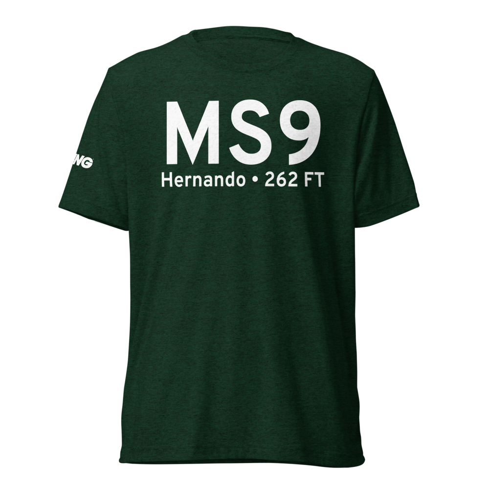 Hernando (1MS6) Airport Tri-blend T-Shirt 