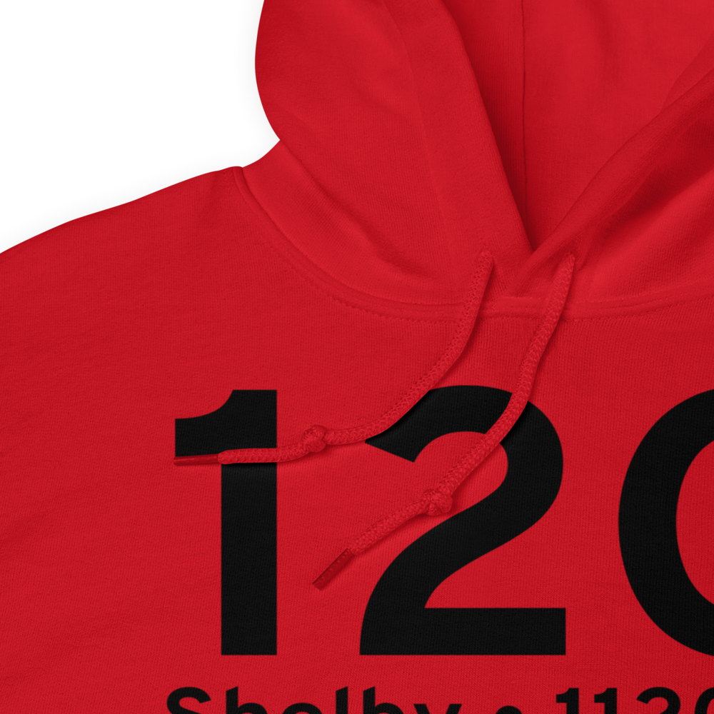 Shelby (K12G) Airport Hoodie Sweatshirt 