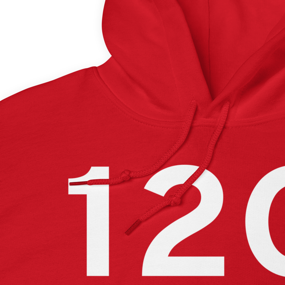 Shelby (K12G) Airport Hoodie Sweatshirt 