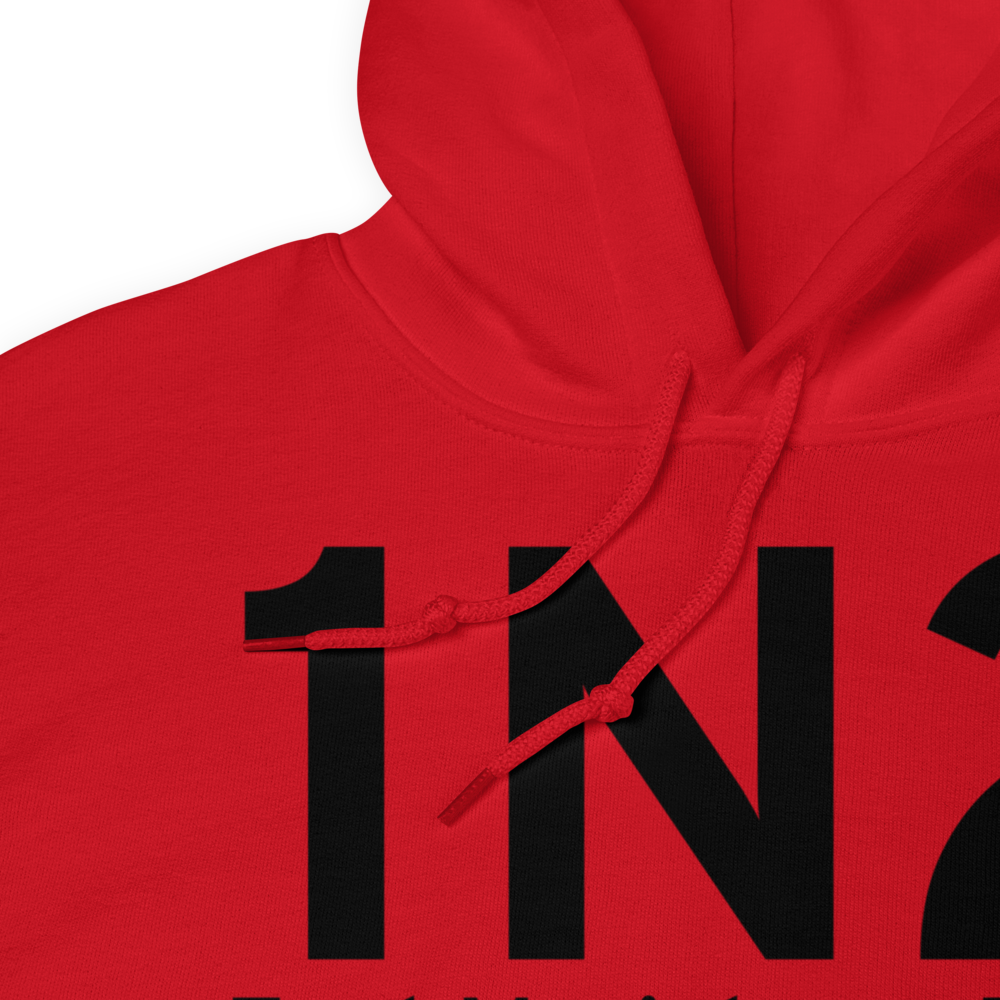 East Moriches (1N2) Airport Hoodie Sweatshirt 