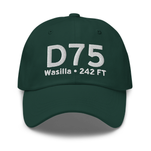 Wasilla (D75) Airport Hat