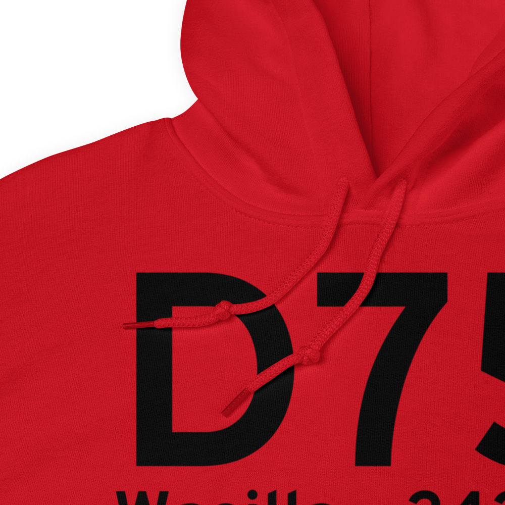 Wasilla (D75) Airport Hoodie Sweatshirt 