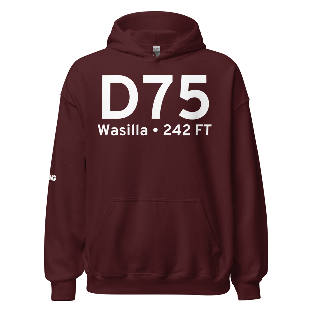 Wasilla (D75) Airport Hoodie Sweatshirt 