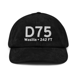 Wasilla (D75) Airport Hat