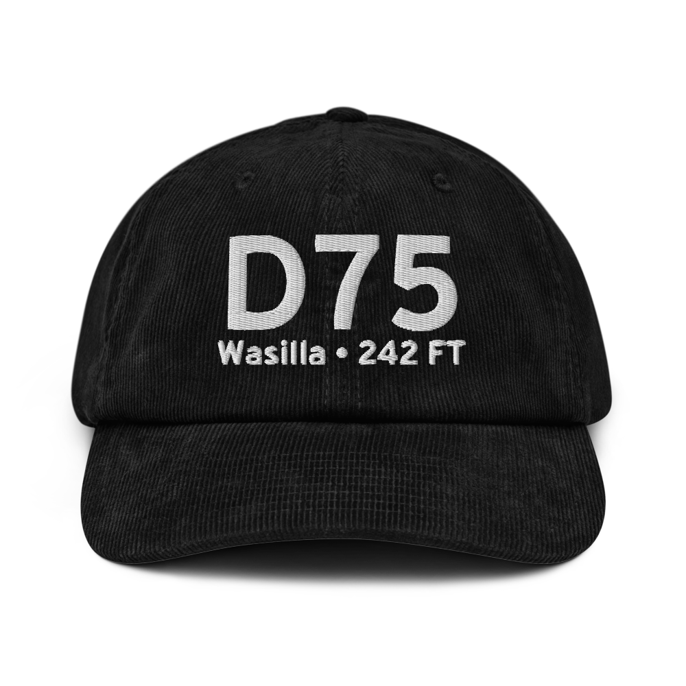 Wasilla (D75) Airport Hat 
