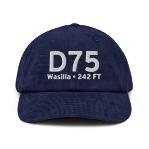 Wasilla (D75) Airport Hat