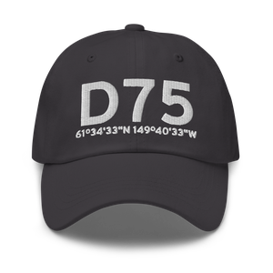 Wasilla (D75) Airport Hat