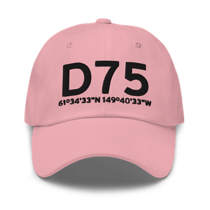 Wasilla (D75) Airport Hat