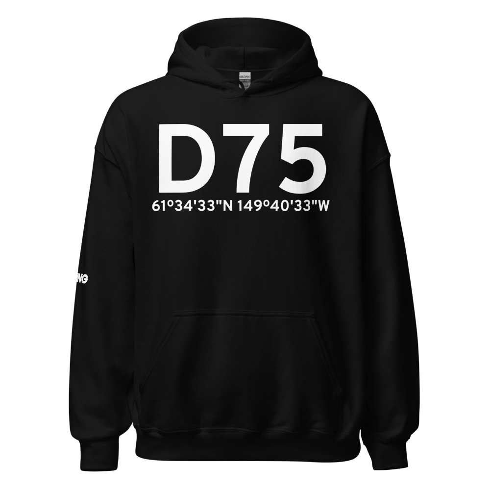 Wasilla (D75) Airport Hoodie Sweatshirt 