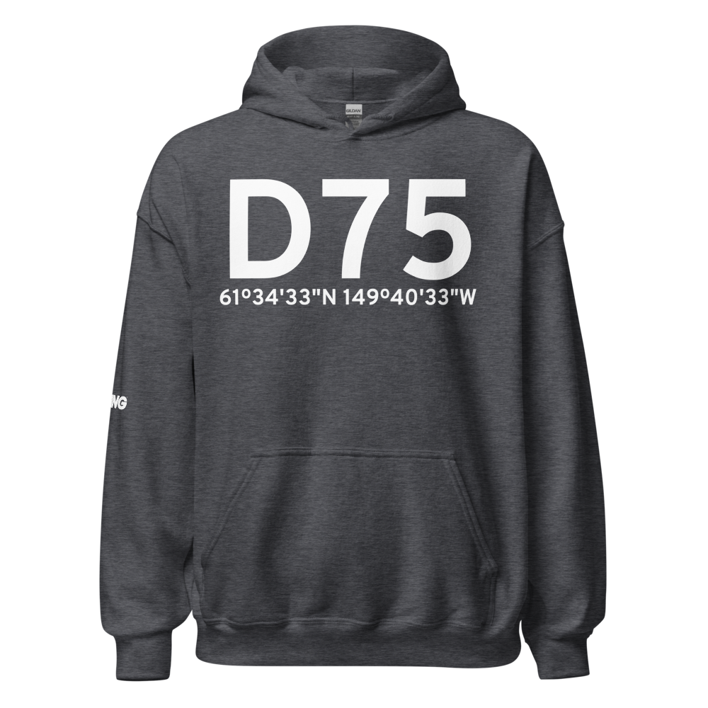 Wasilla (D75) Airport Hoodie Sweatshirt 