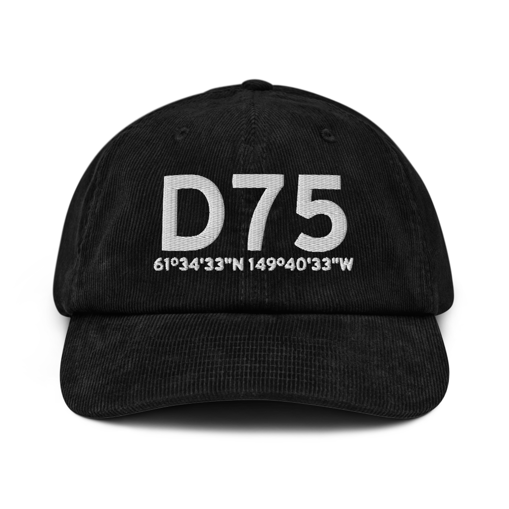 Wasilla (D75) Airport Hat 