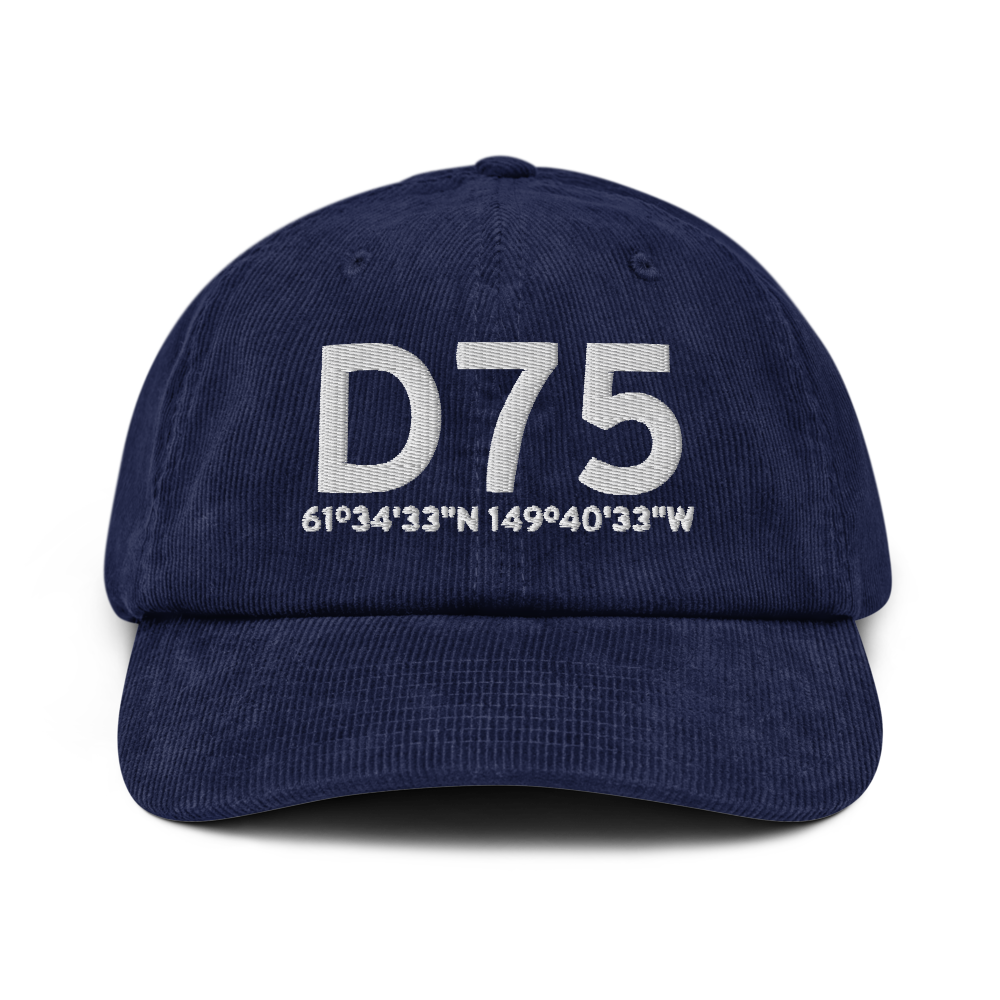 Wasilla (D75) Airport Hat 