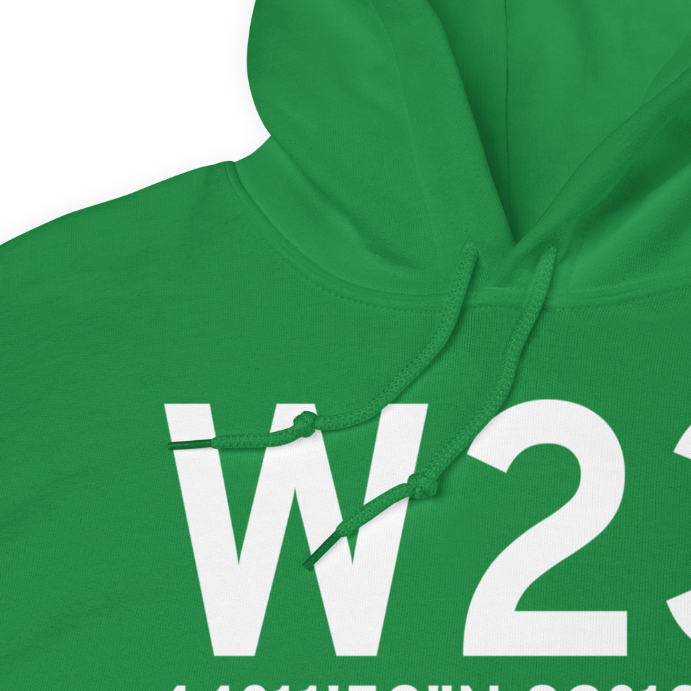 Wild Rose (W23) Airport Hoodie Sweatshirt 