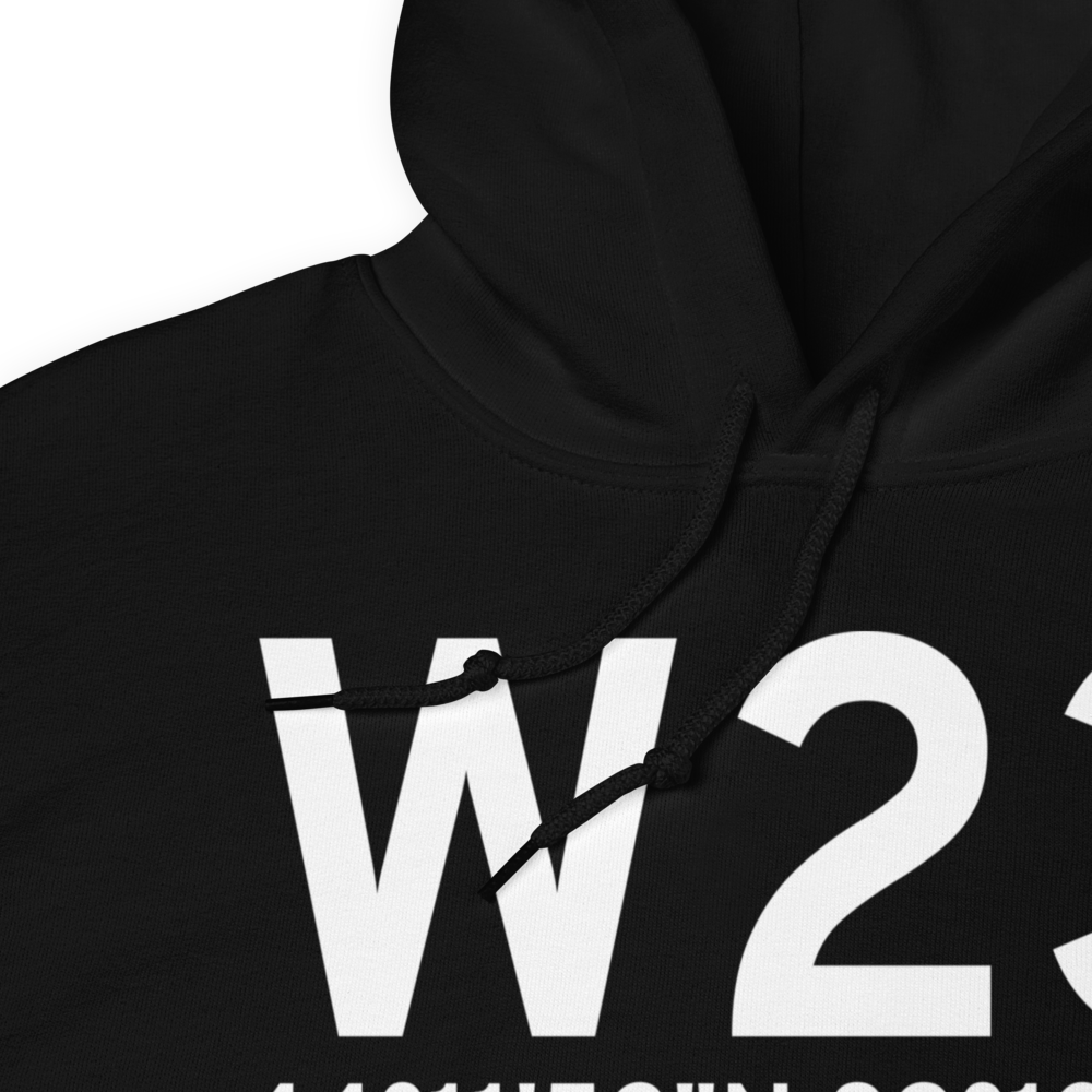Wild Rose (W23) Airport Hoodie Sweatshirt 