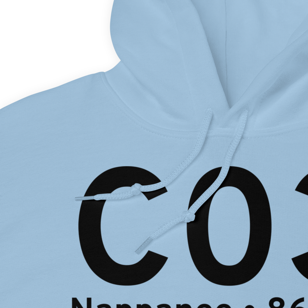Nappanee (KC03) Airport Hoodie Sweatshirt 