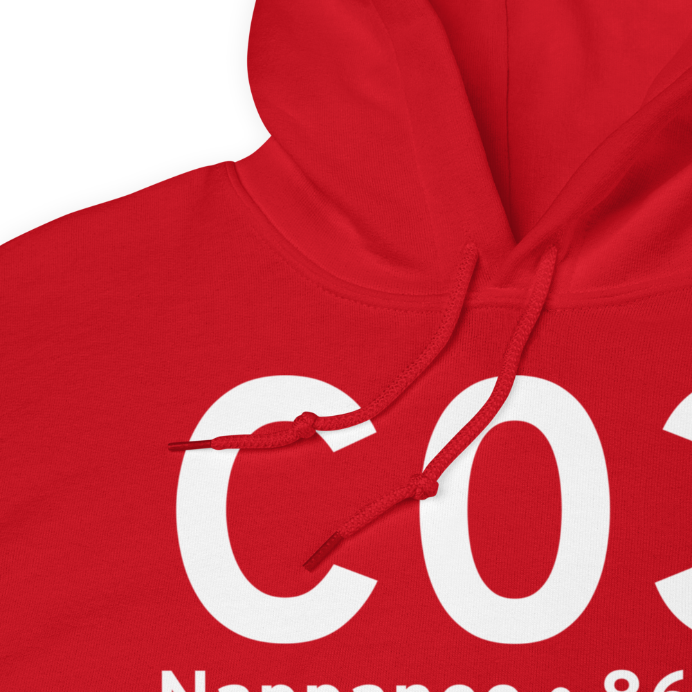 Nappanee (KC03) Airport Hoodie Sweatshirt 