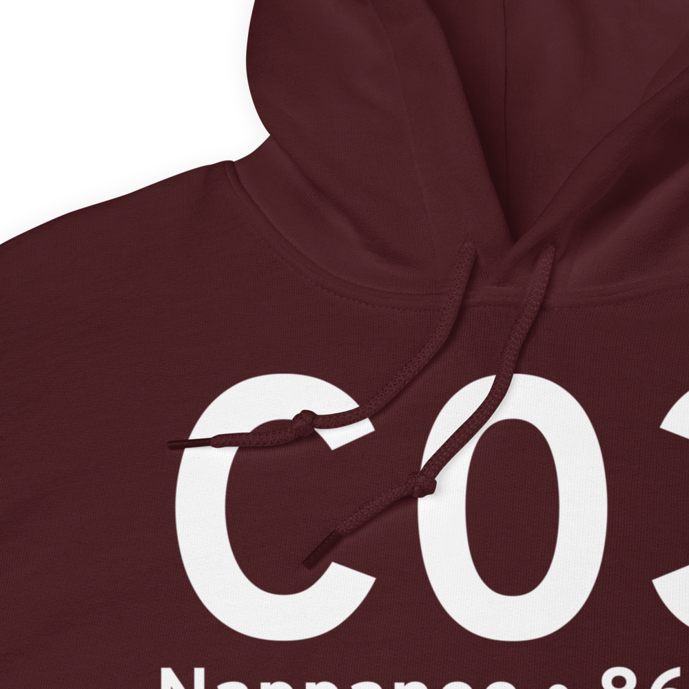 Nappanee (KC03) Airport Hoodie Sweatshirt 