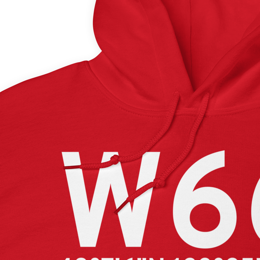 Port Angeles (US-1146) Airport Hoodie Sweatshirt 