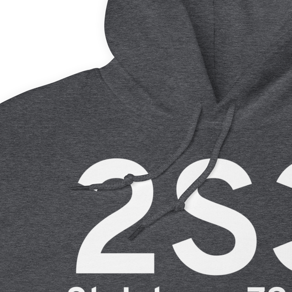 St Johns (2S3) Airport Hoodie Sweatshirt 