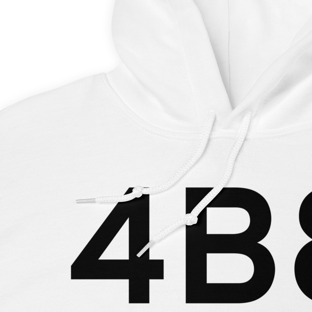 Plainville (K4B8) Airport Hoodie Sweatshirt 