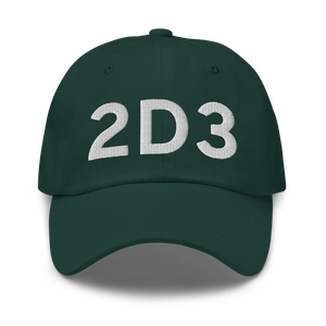 Palmer (2D3) Airport Hat