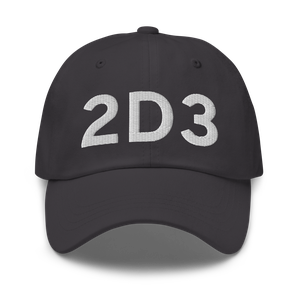 Palmer (2D3) Airport Hat