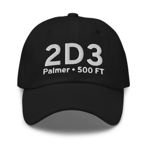 Palmer (2D3) Airport Hat