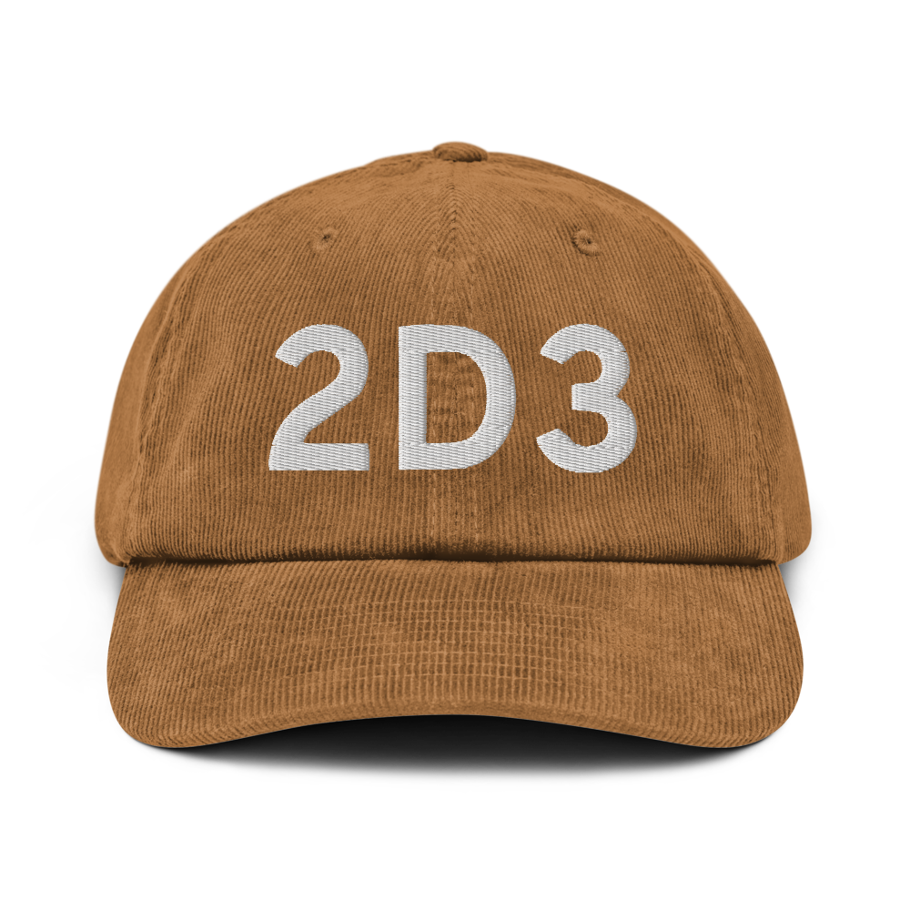 Palmer (2D3) Airport Hat 