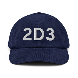 Palmer (2D3) Airport Hat