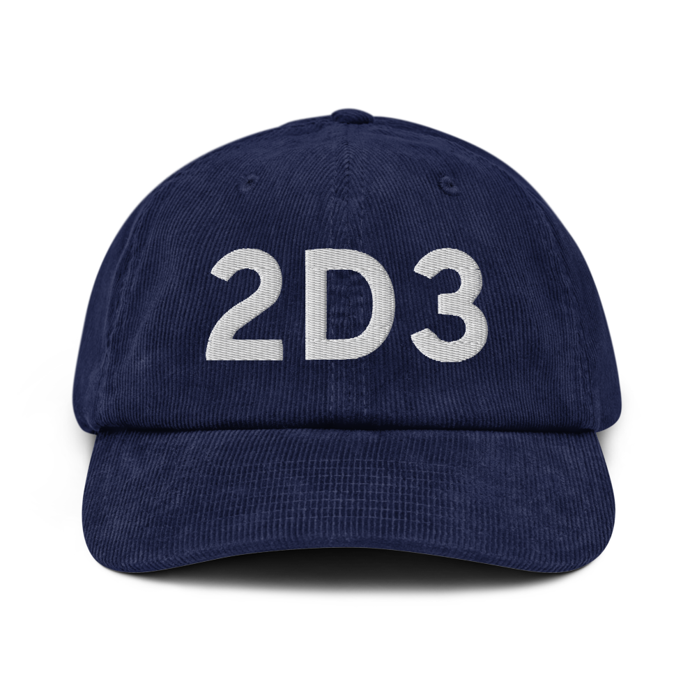 Palmer (2D3) Airport Hat 