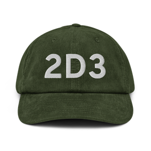 Palmer (2D3) Airport Hat