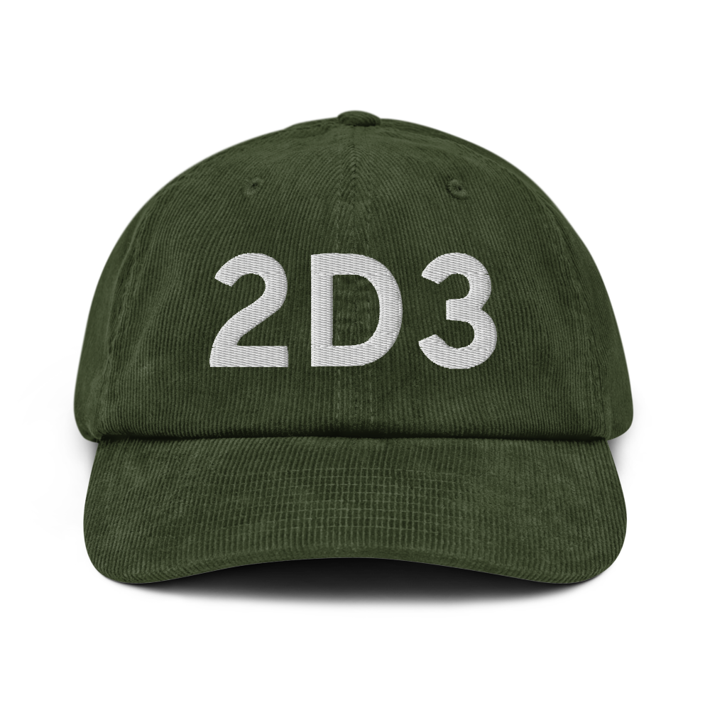 Palmer (2D3) Airport Hat 