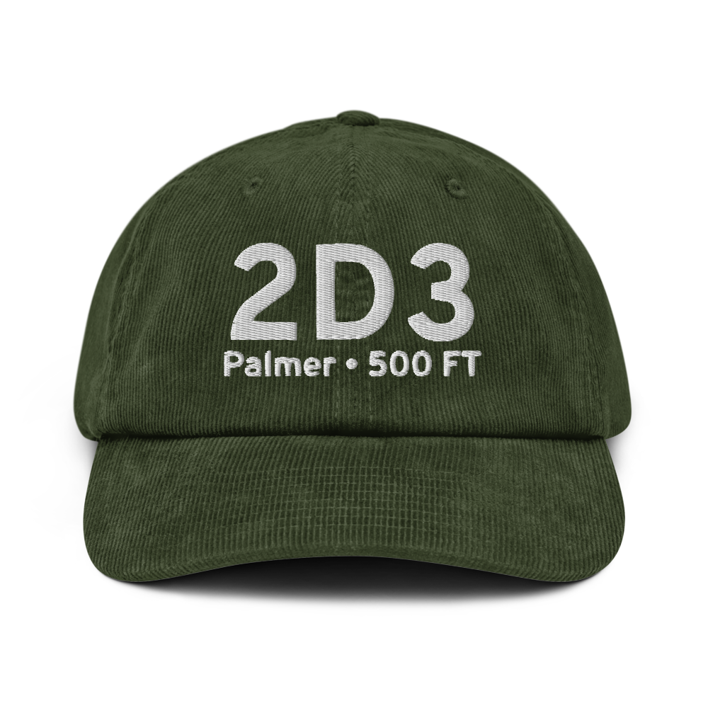 Palmer (2D3) Airport Hat 