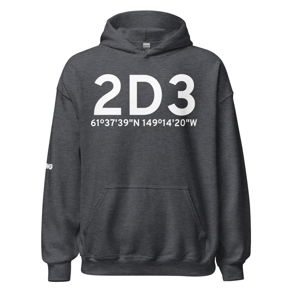 Palmer (2D3) Airport Hoodie Sweatshirt 