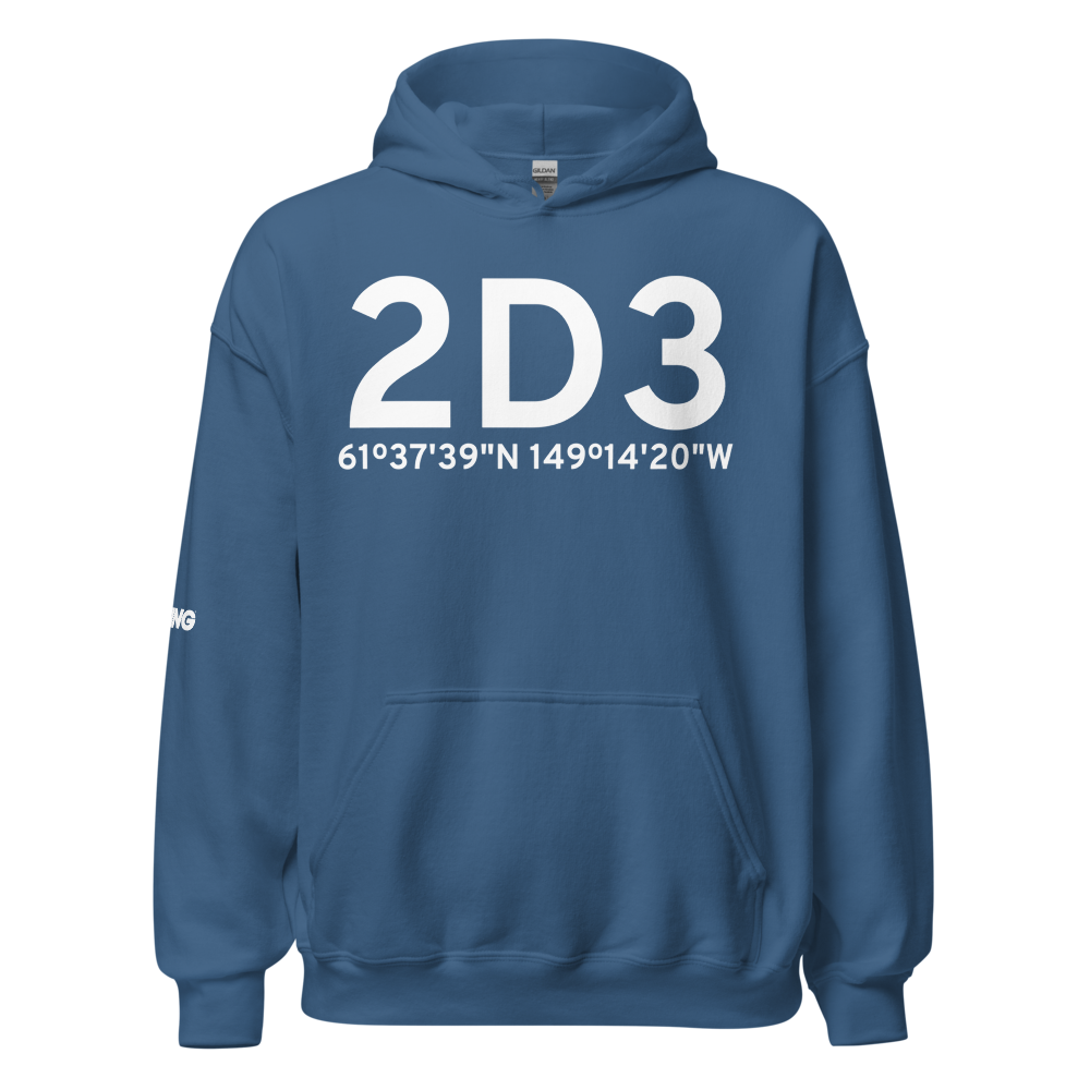 Palmer (2D3) Airport Hoodie Sweatshirt 