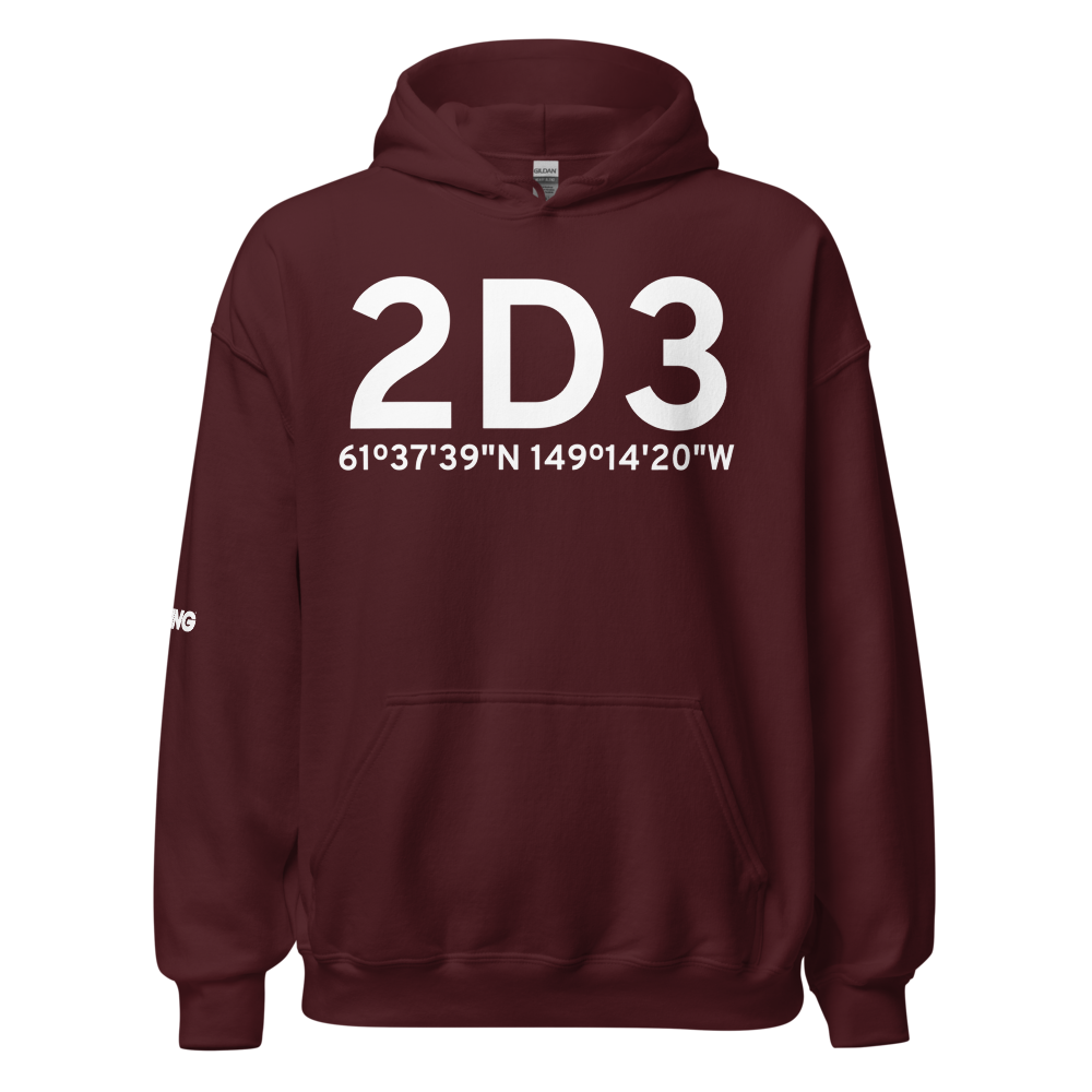 Palmer (2D3) Airport Hoodie Sweatshirt 