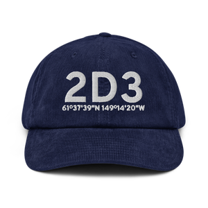 Palmer (2D3) Airport Hat