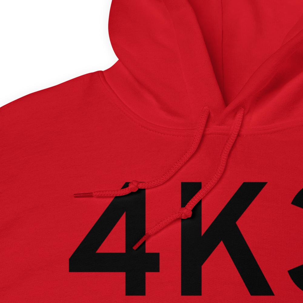 Lexington (K4K3) Airport Hoodie Sweatshirt 