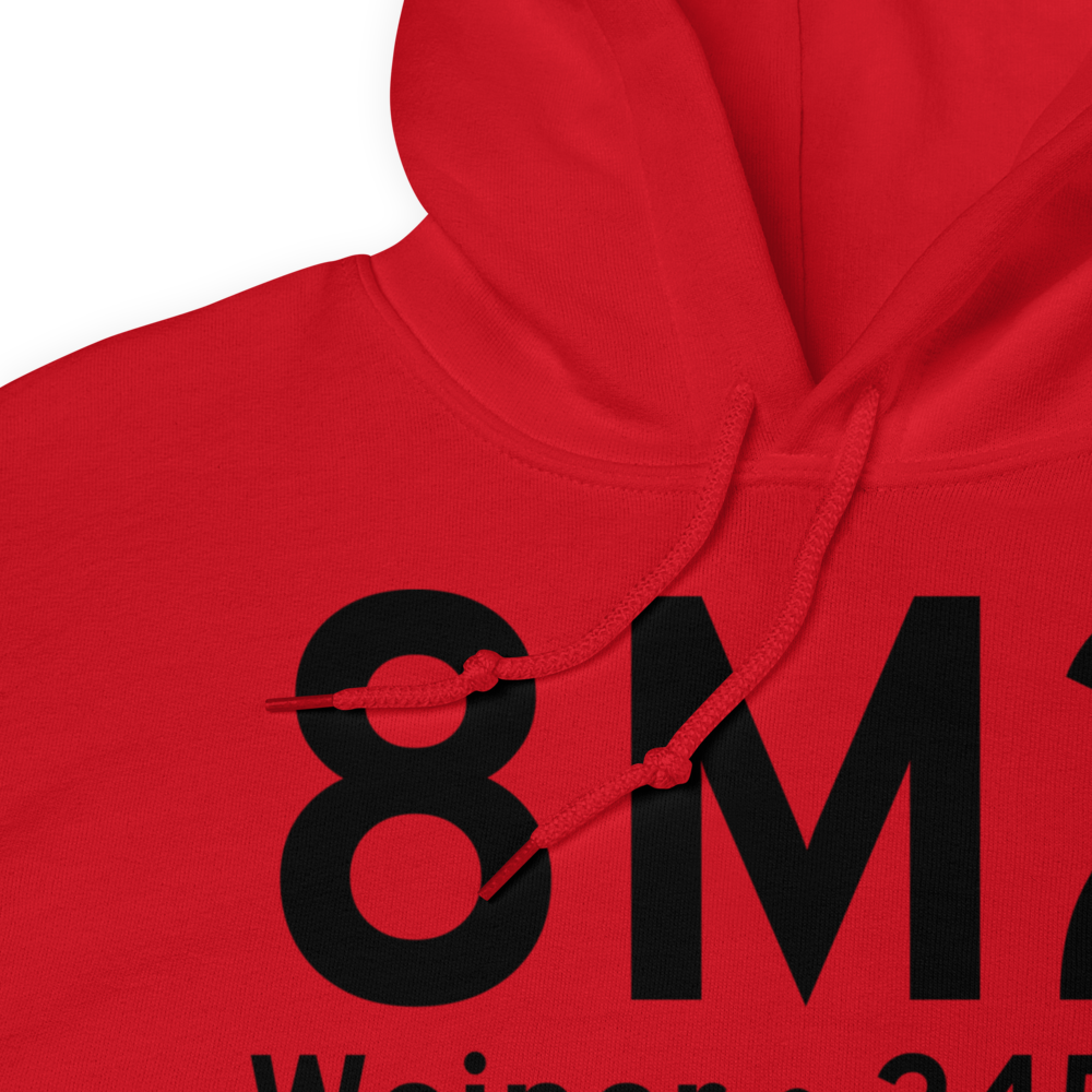 Weiner (8M2) Airport Hoodie Sweatshirt 