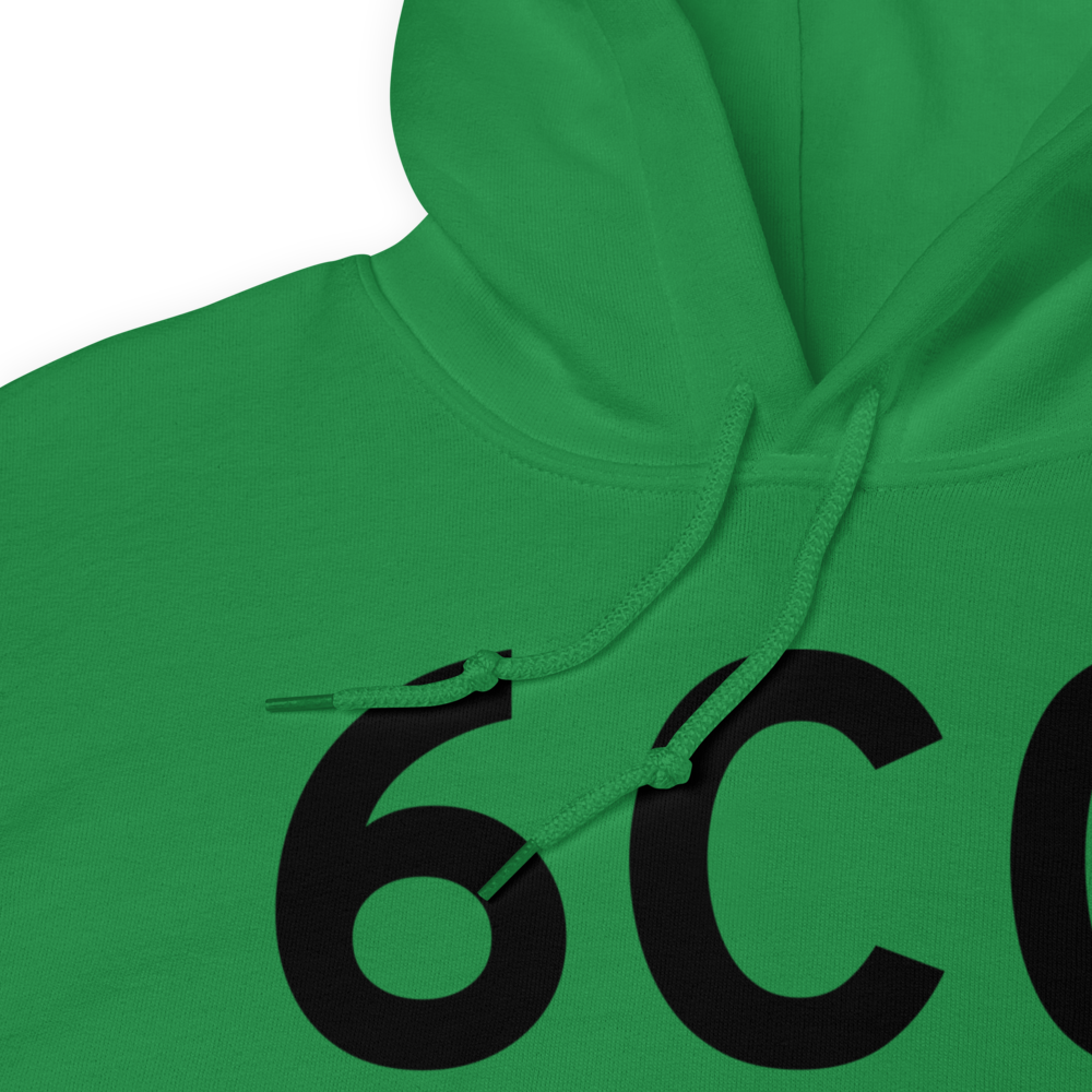 Eldora (6C0) Airport Hoodie Sweatshirt 