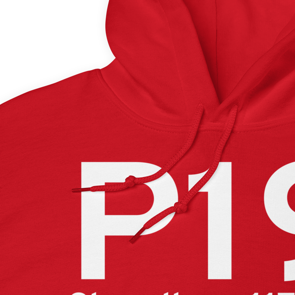 Chandler (KP19) Airport Hoodie Sweatshirt 