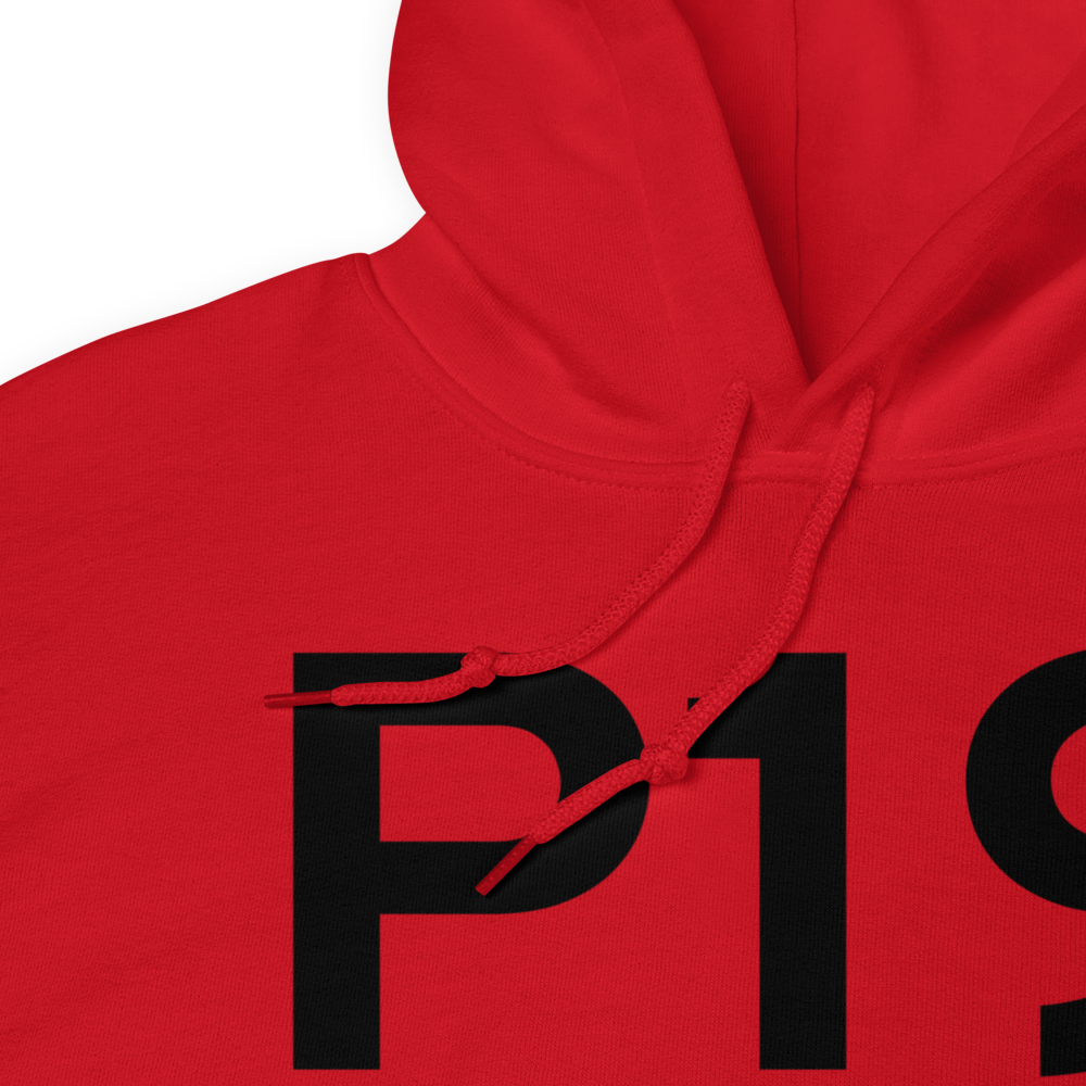 Chandler (KP19) Airport Hoodie Sweatshirt 
