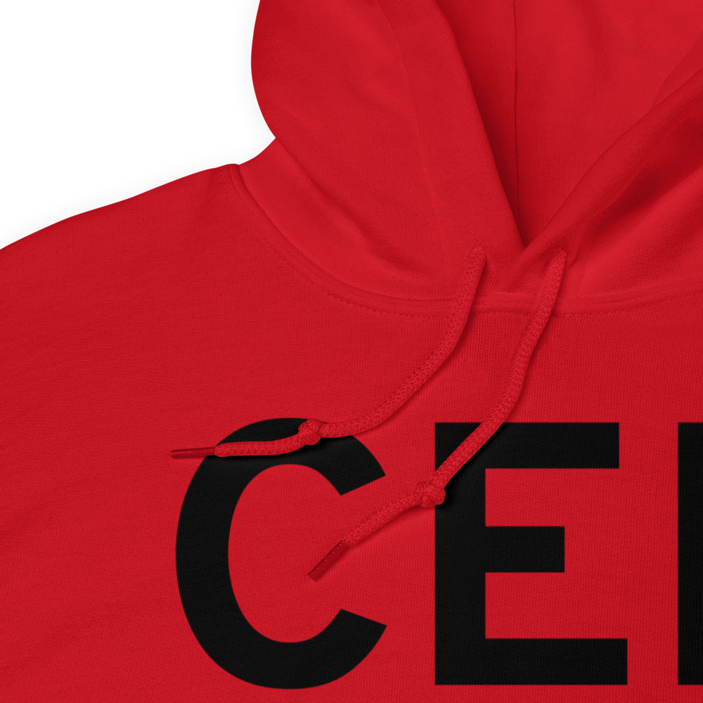 Springfield/Chicopee (KCEF) Airport Hoodie Sweatshirt 