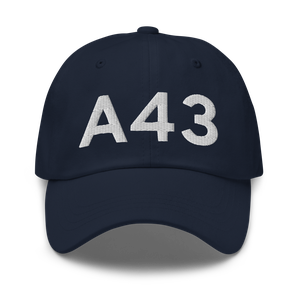 Taku Harbor (A43) Airport Hat