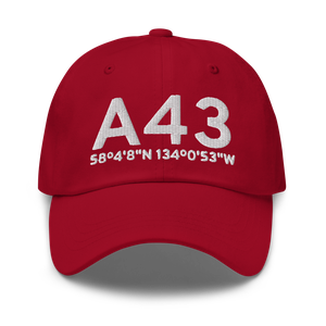 Taku Harbor (A43) Airport Hat