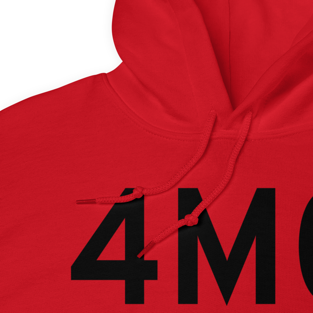 Traverse City (4M0) Airport Hoodie Sweatshirt 