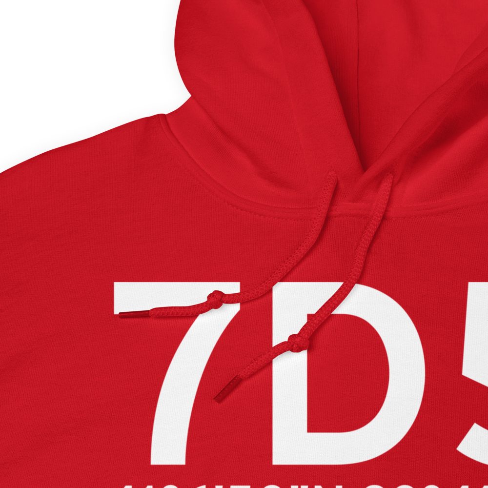 Findlay (7D5) Airport Hoodie Sweatshirt 