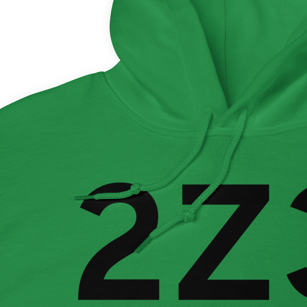 Eva Creek (2Z3) Airport Hoodie Sweatshirt 